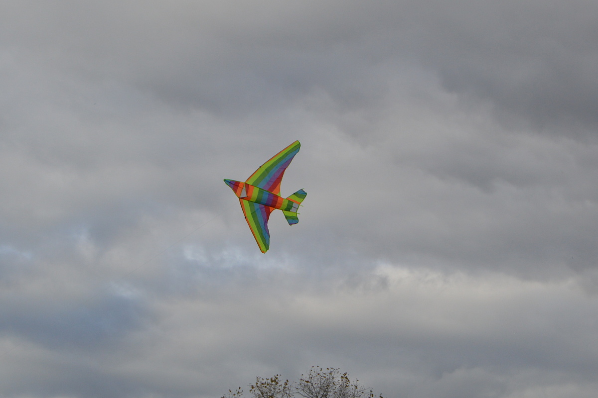 DSC_0061