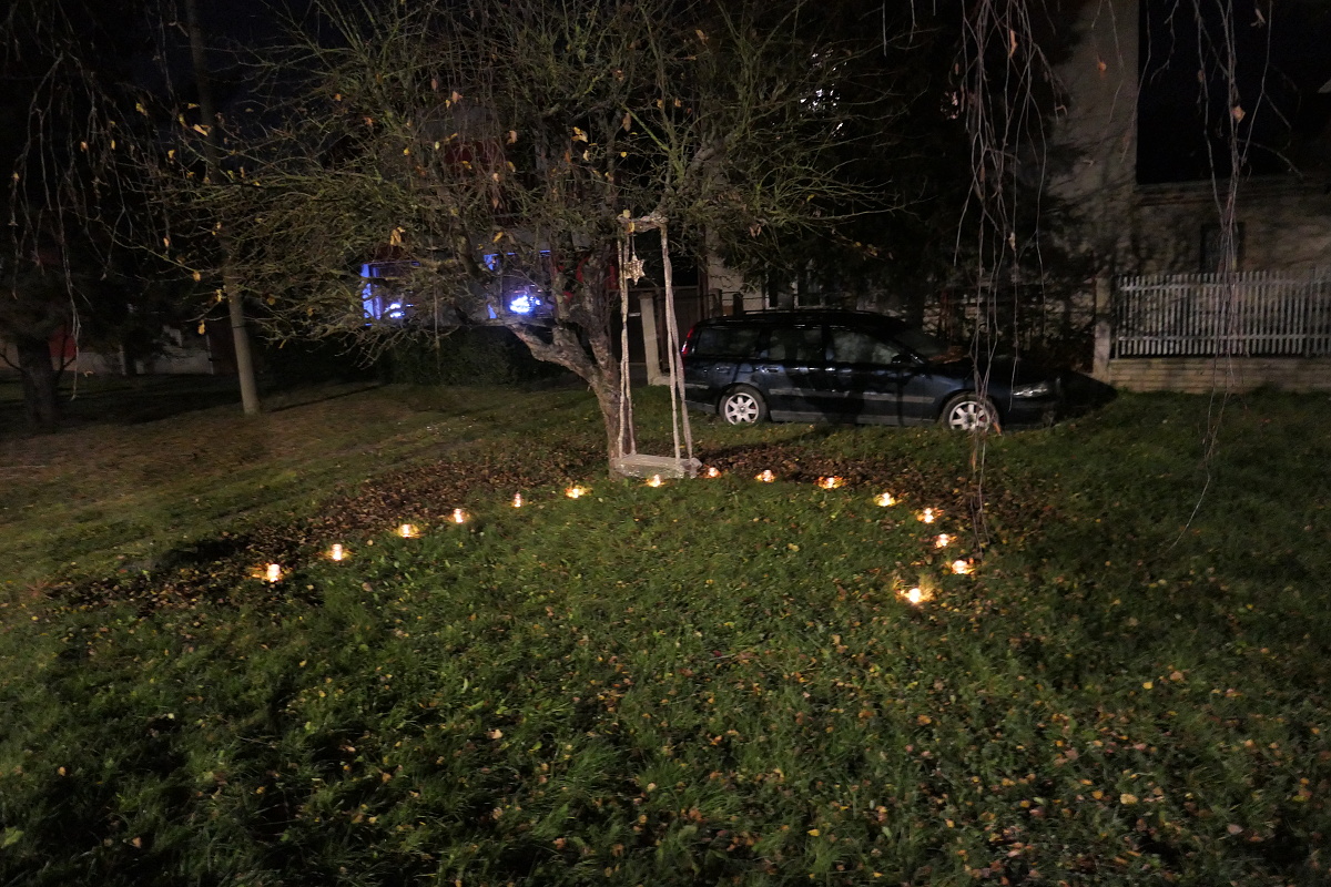 30.11 (19)