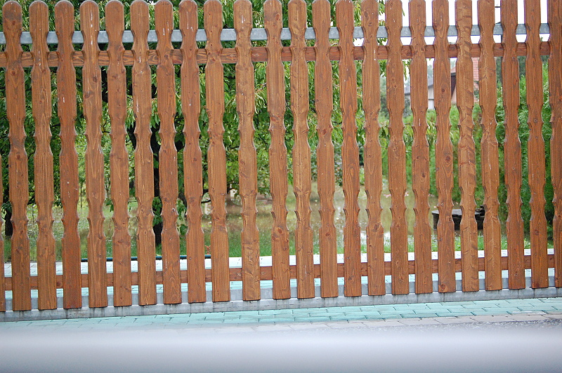 8.8.2010 (116).JPG