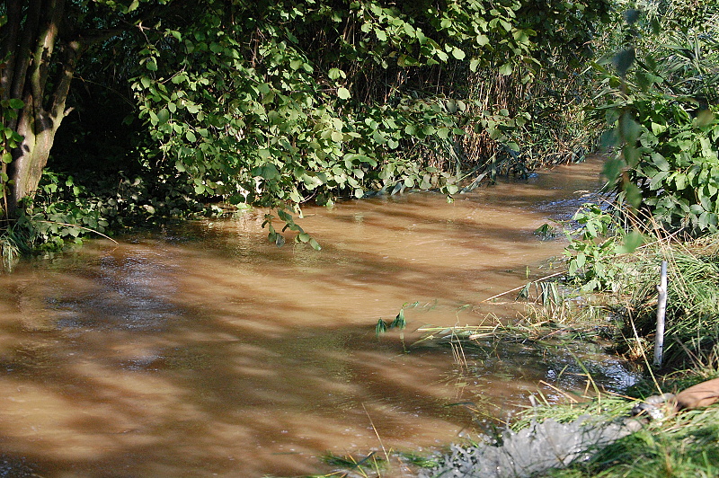 2.část 8.8.2010 (34).JPG